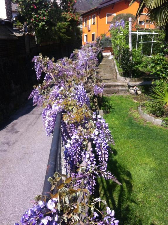 B&B Villa Dei Pini Cannobio Kültér fotó