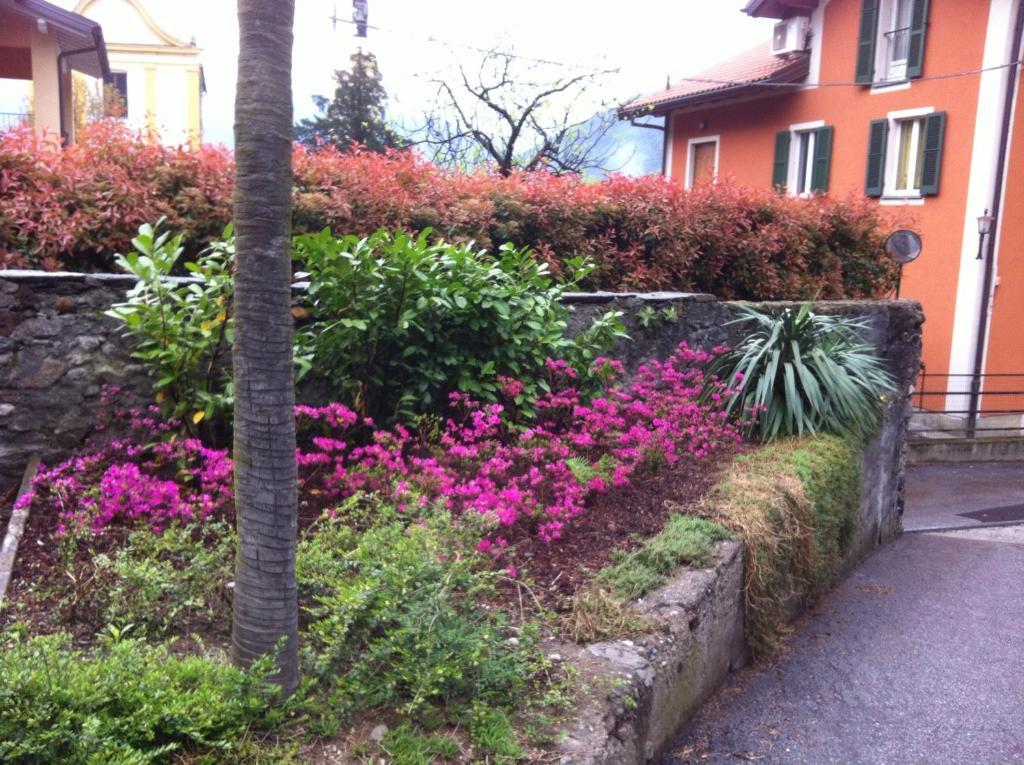 B&B Villa Dei Pini Cannobio Kültér fotó
